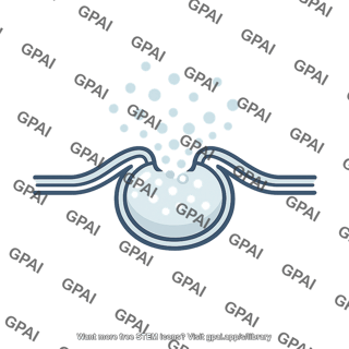 Exocytosis vesicle fused
