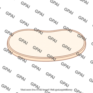 Mitochondrion outer membrane