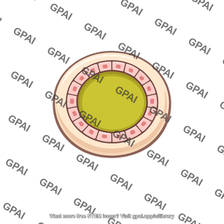 Bile duct epithelial lining