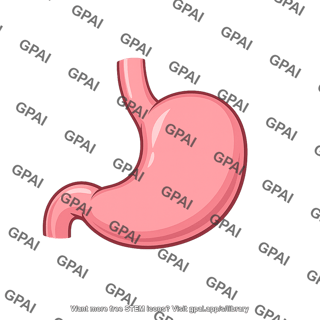 Body of stomach