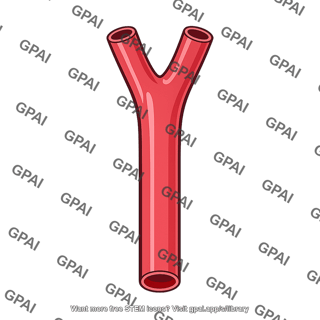 Common carotid artery