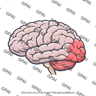 Visual cortex lateral view