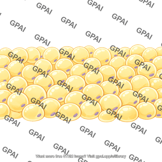 Adipose tissue large