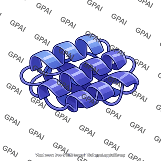 Protein alpha helix structure