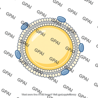 Very low density lipoprotein