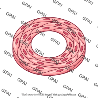 Vascular smooth muscle