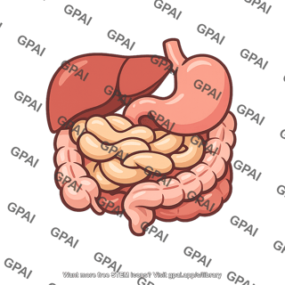 Internal viscera