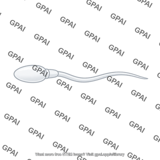 Spermatozoon immobile