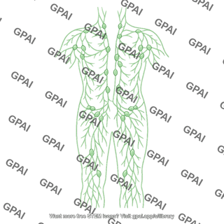 Lymphatic system