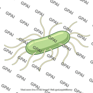 Peritrichous bacterium