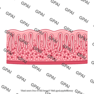 Uterine endometrium proliferative