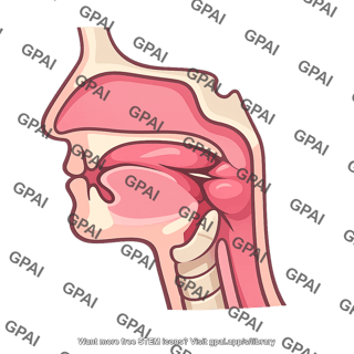 Airway upper obstructed