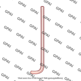 Thin ascending loop of henle