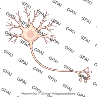 Neuron cell