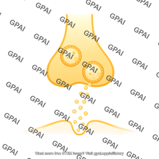 Vesicle synaptic cleft