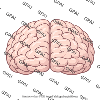 Cerebrum