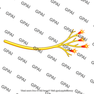 Pain fiber heat stimulated
