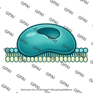 Membrane associated enzyme
