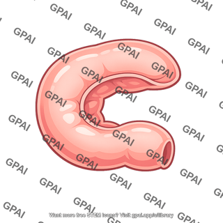 Duodenum distended