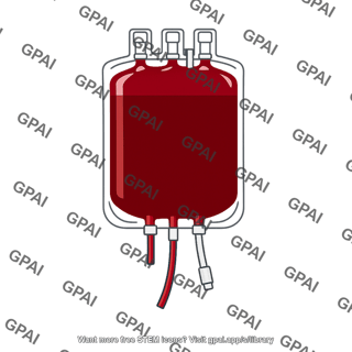 Whole blood bag