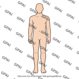 Human body standing