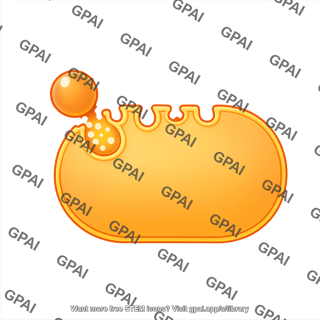 Exocytosis large pill shaped membrane small vesicle