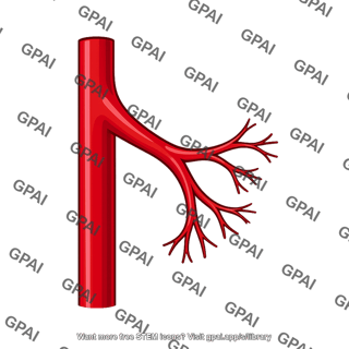 Artery branching