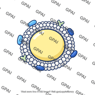 Chylomicron remnant