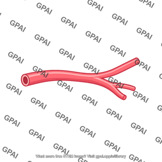 Peripheral vessel
