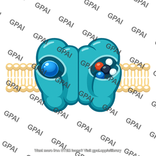 Amino acid cotransporter