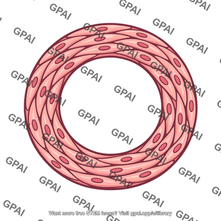 Blood vessel smooth muscle