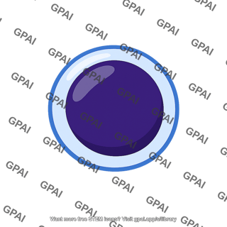Immature lymphocyte