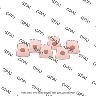 0. all enterocytes atrophied