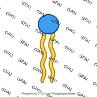 Phospholipid