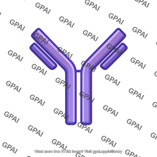 Antibody molecule
