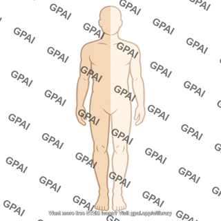 Human body half silhouette
