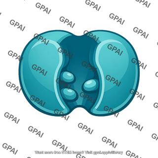 Carrier protein open inward