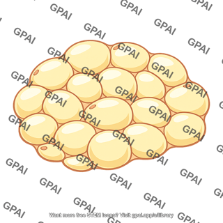 Fat tissue
