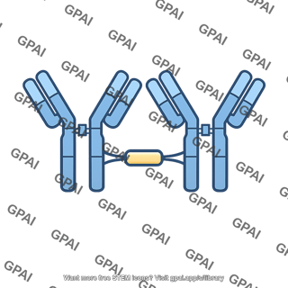 Immunoglobulin a