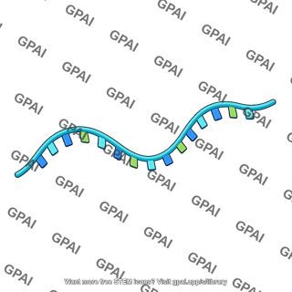 Rna strand