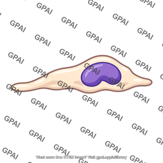 Migrating monocyte