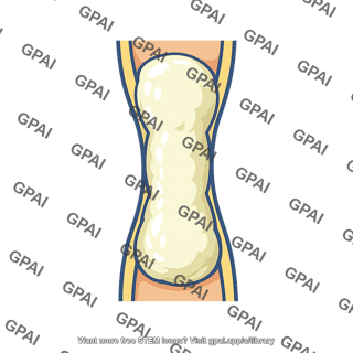 Cervical mucus viscous plug