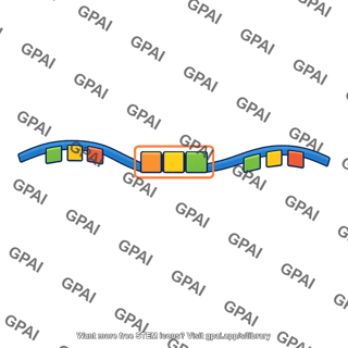 Mrna codon