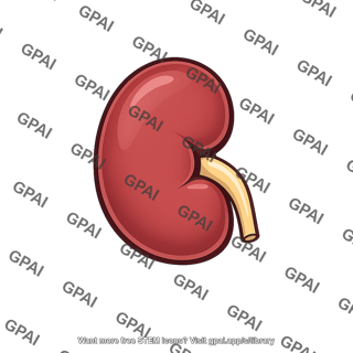 Left kidney