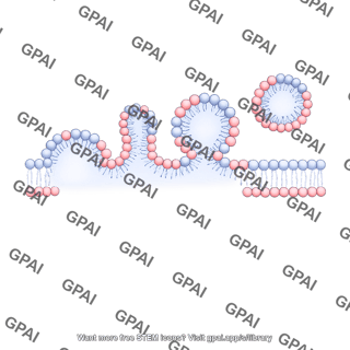 Membrane budding linear membrane medium vesicle