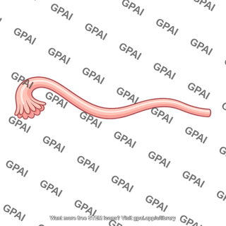 Uterine tube