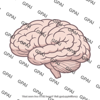 Human brain lateral view