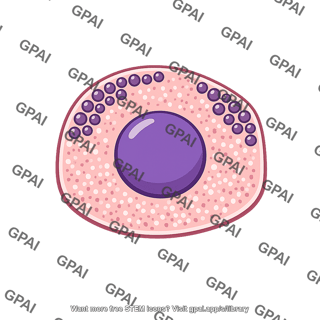 Adrenal medullary cell