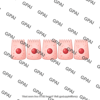 0. all enterocytes flattened