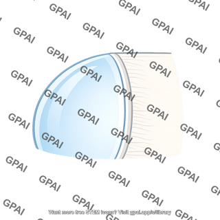 Corneoscleral junction
